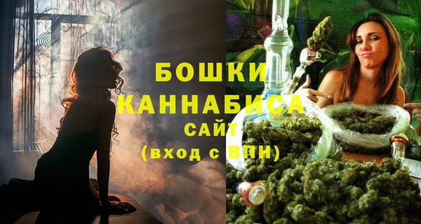 молекула духа Гусиноозёрск